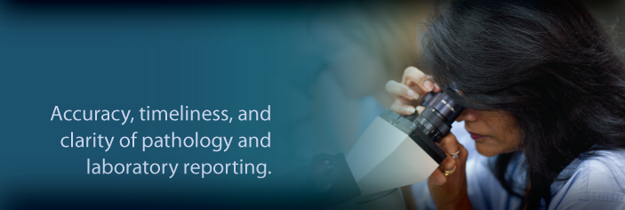scope of services